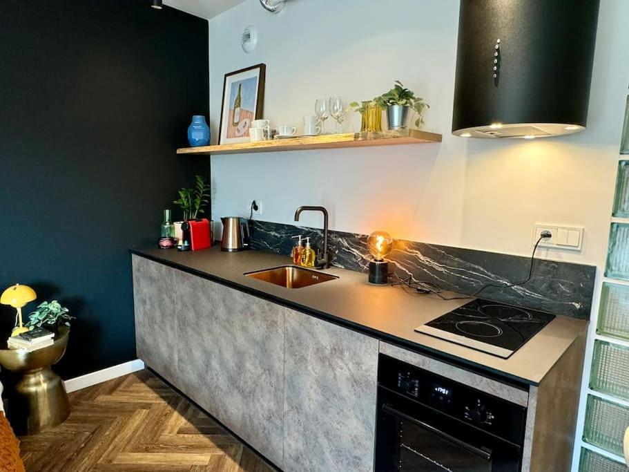 Art & Sunski Studio Z Garazem Podziemnym Krynica-Zdrój Exteriér fotografie