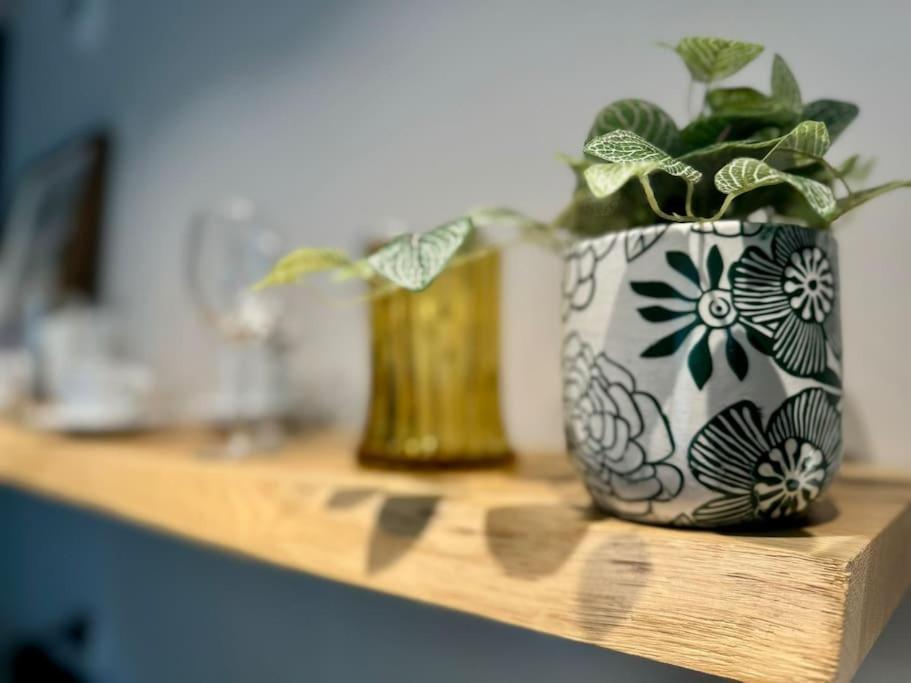 Art & Sunski Studio Z Garazem Podziemnym Krynica-Zdrój Exteriér fotografie